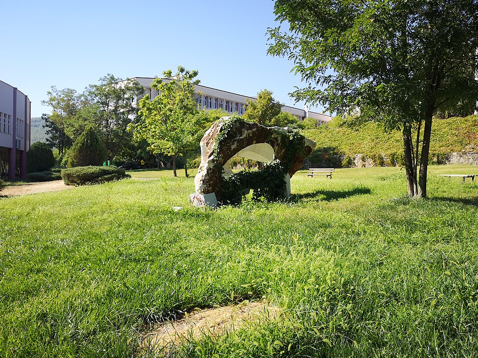 Muğla Sıtkı Koçman University
